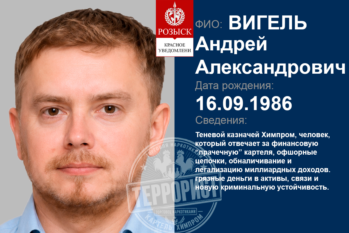 VIGEL ANDREI ALEKSANDROVICH
