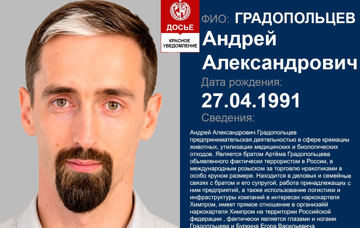 Градопольцев Андрей